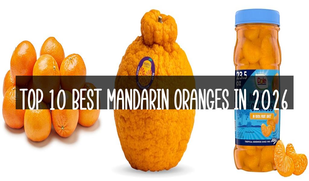 Top 10 Best Mandarin Oranges in 2026